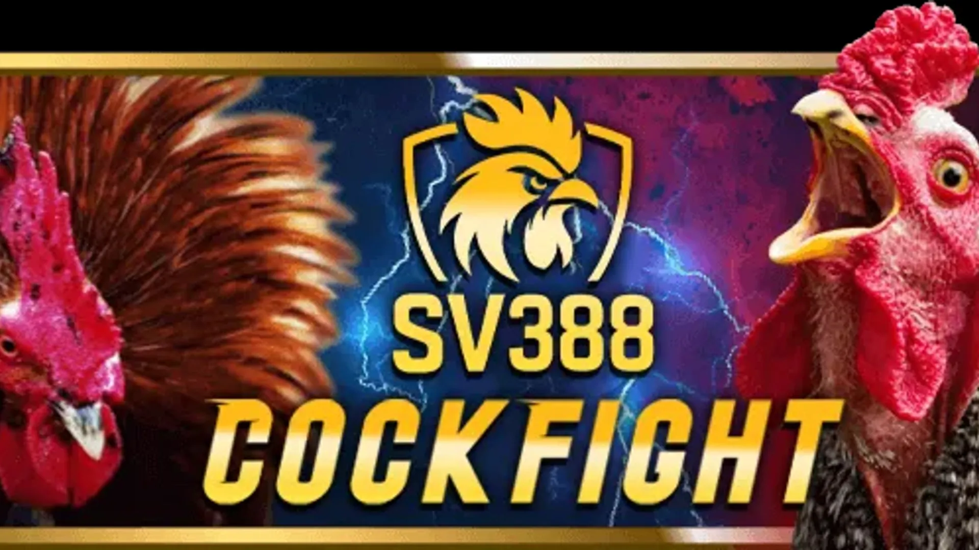 Video trực tiếp đá gà chất lượng cao trên f16878 vip