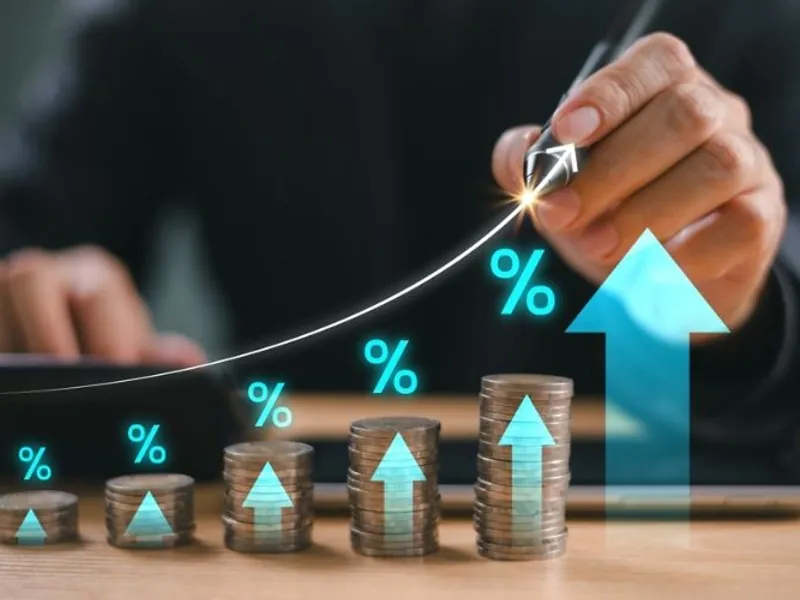 Hình ảnh phân tích gà chiến